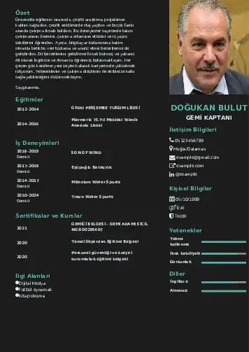 cv indir